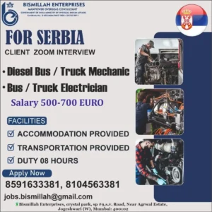 Diesel Mechanic and Electrician Jobs in Serbia